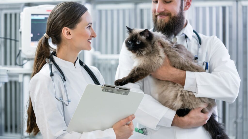 動物病院の採用に応募が来ない理由は?どうすれば募集に来る?